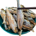 Made In China Superior Quality Frozen Fish Frozen Storage Saury Segment